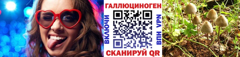 Галлюциногенные грибы мицелий  Купить  Певек 